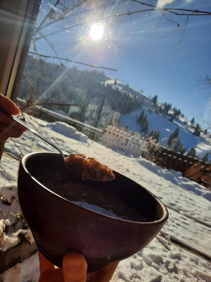 Villa Filiak Yablunytsya Esterno foto