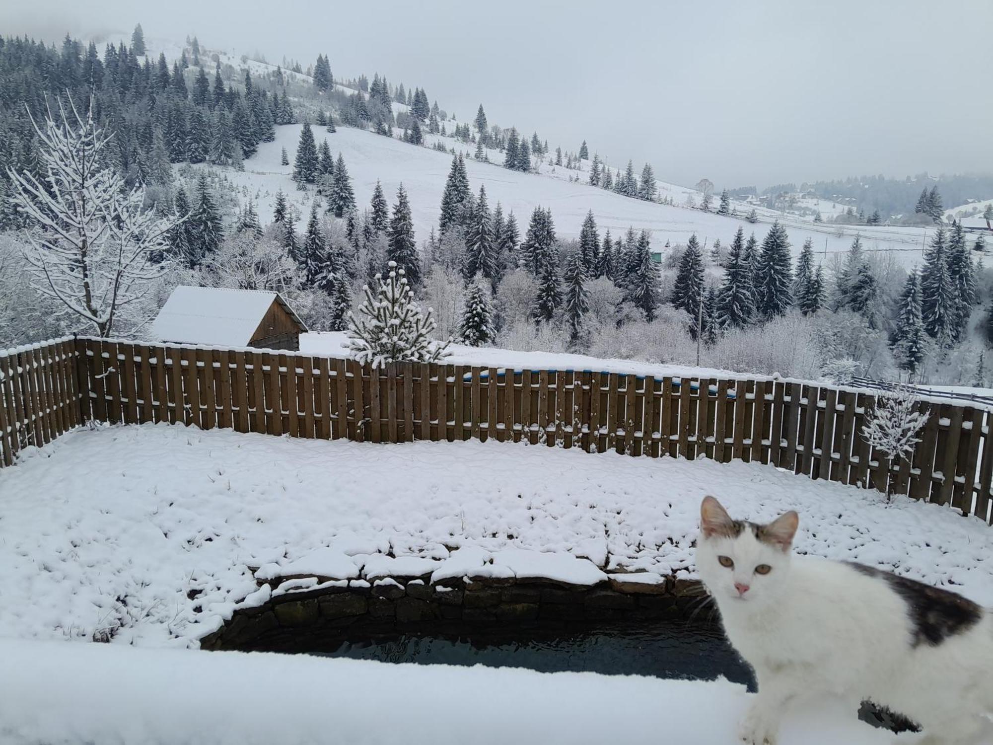 Villa Filiak Yablunytsya Esterno foto
