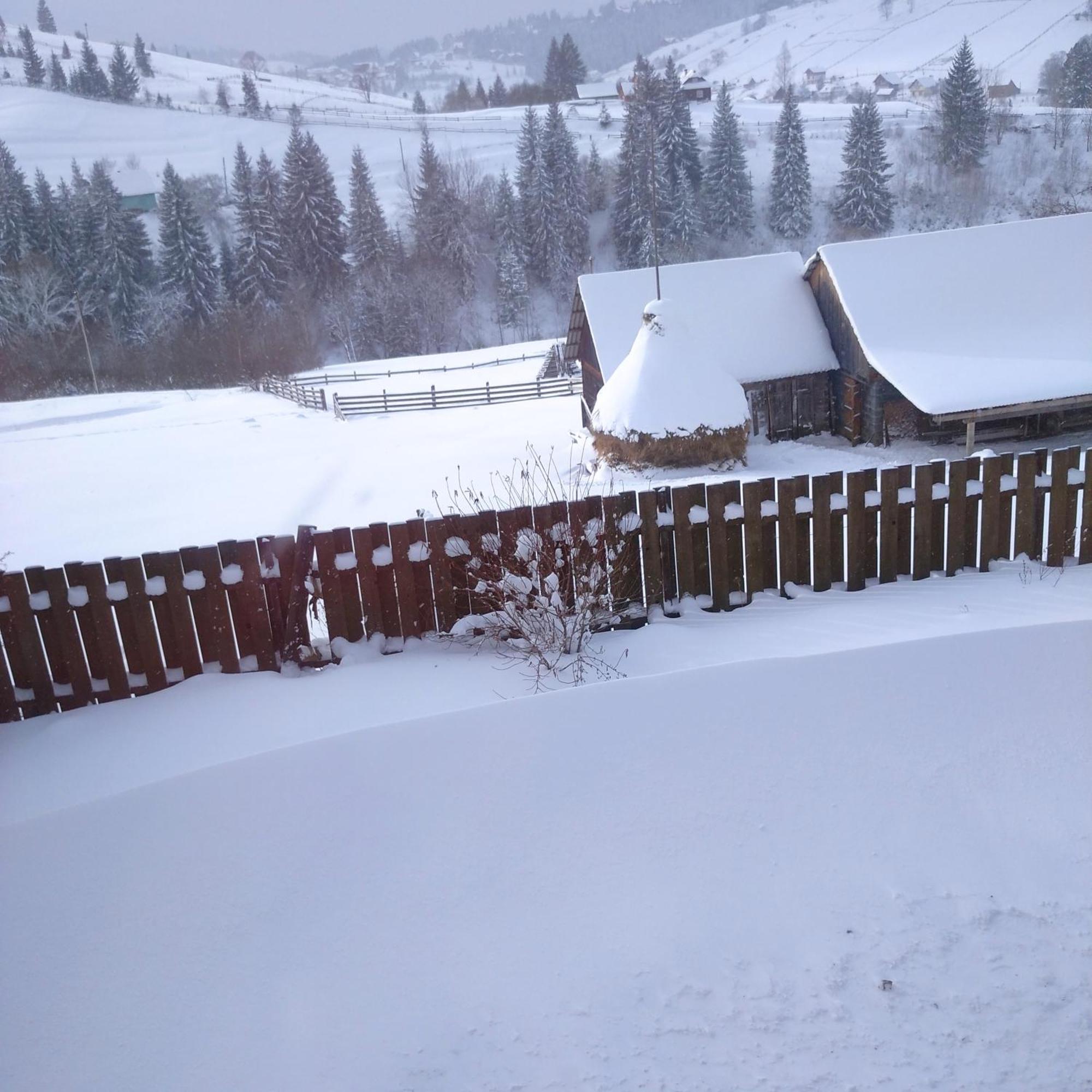 Villa Filiak Yablunytsya Esterno foto