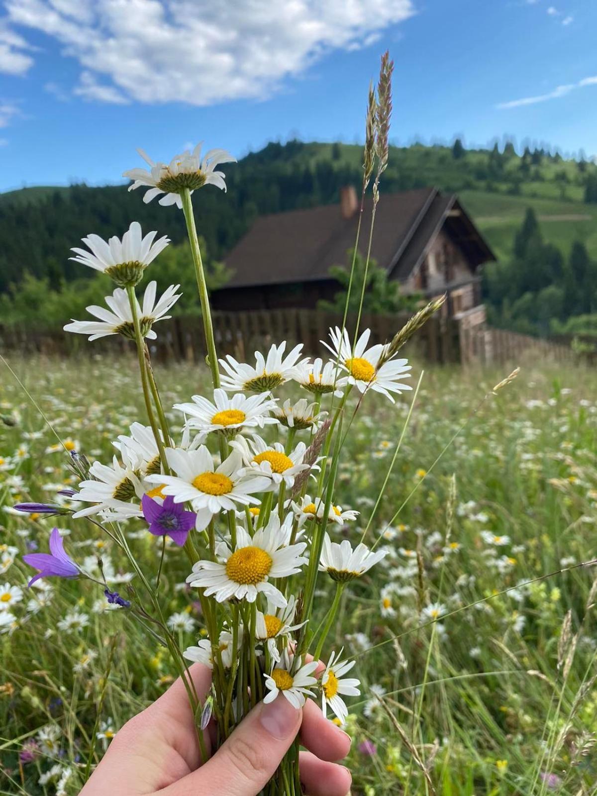 Villa Filiak Yablunytsya Esterno foto