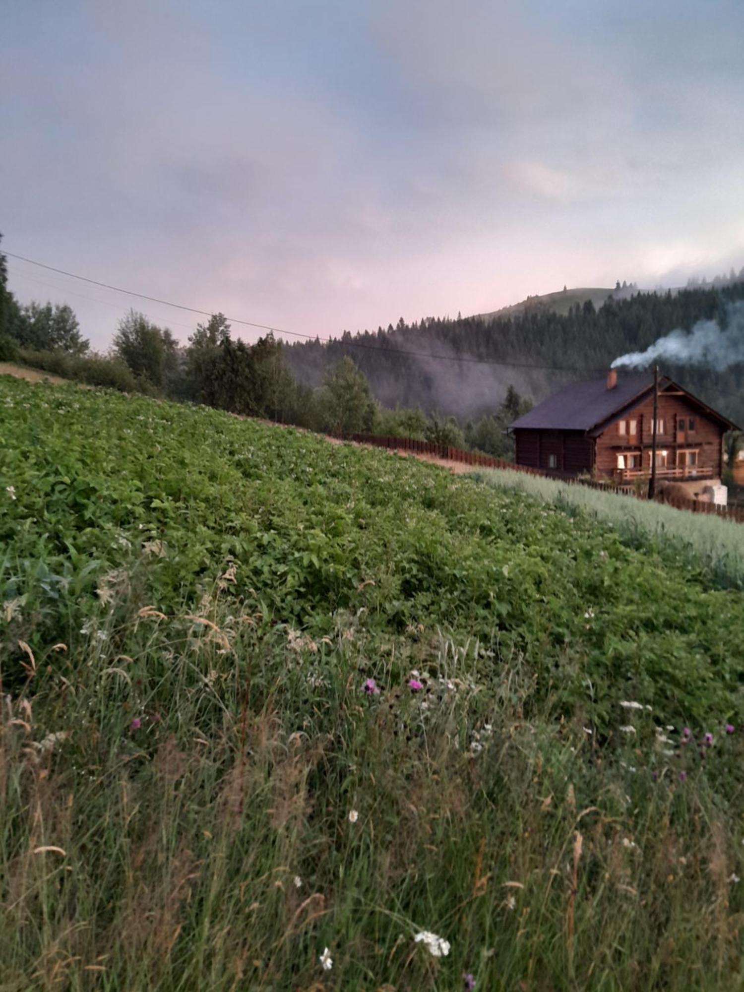 Villa Filiak Yablunytsya Esterno foto