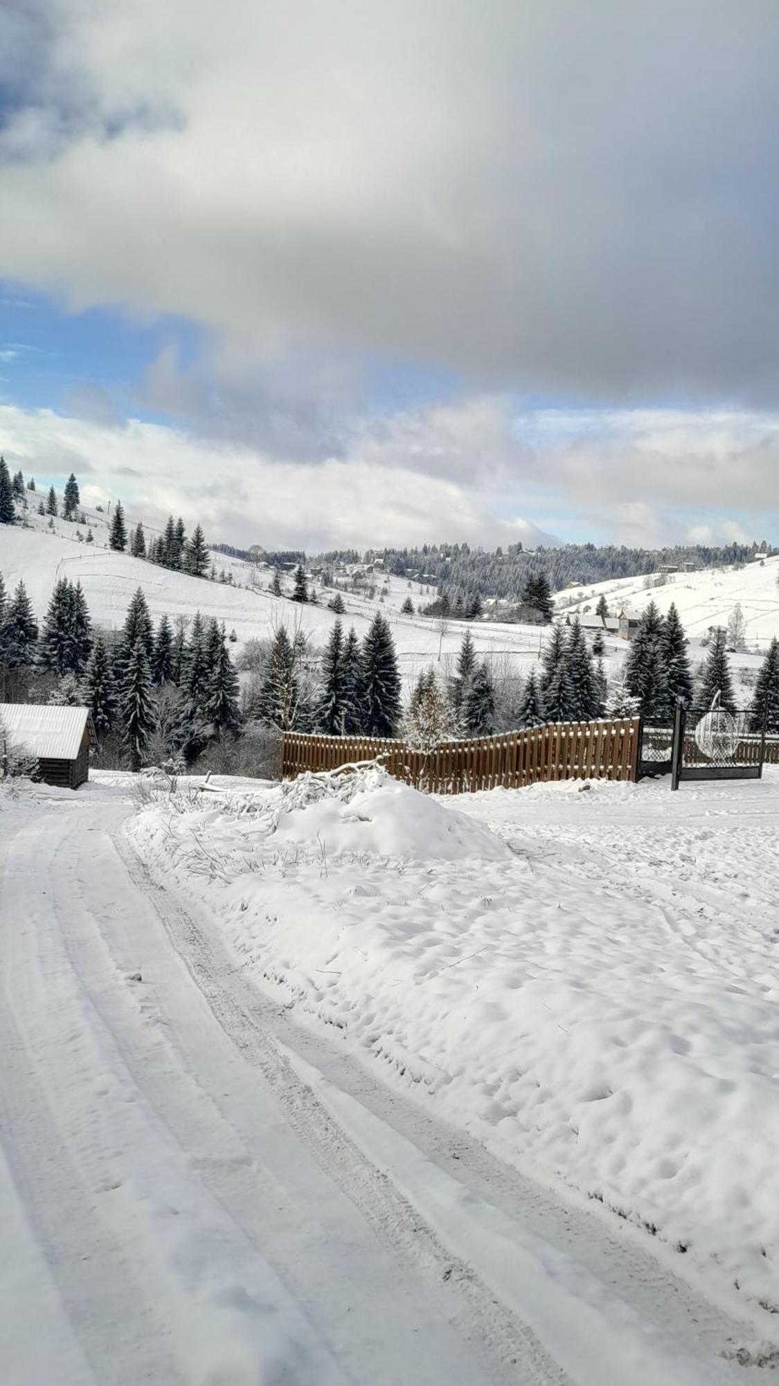 Villa Filiak Yablunytsya Esterno foto